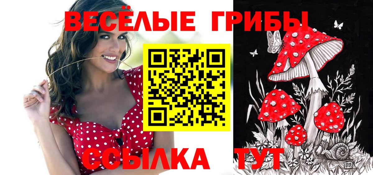 Галлюциногенные грибы прущие грибы  Галлюциногенные грибы мицелий  Зеленодольск  Вход с VPN 